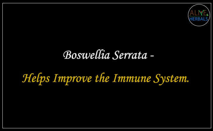 Boswellia Serrata - Buy from the natural herb store