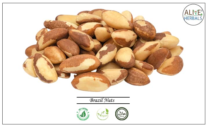 Organic Brazil Nuts - Raw Protein, Fiber, Fatty Acids – Foods Alive Inc.