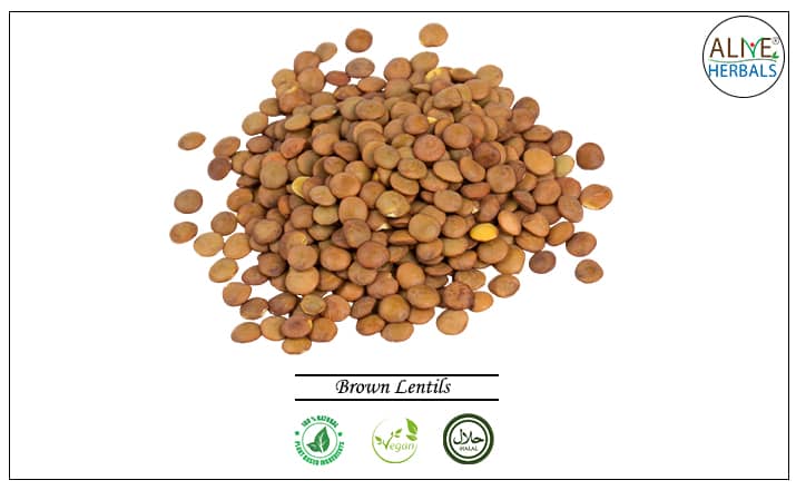 Brown Lentils - Buy From the Health Food Store