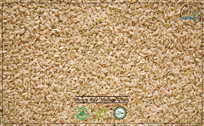 Brown Rice Medium Grain - Buy From the Health Food Store