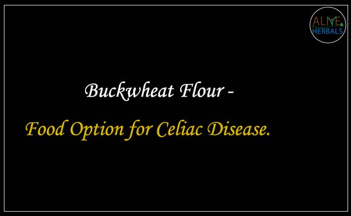Buckwheat Flour - Buy From the Health Food Store