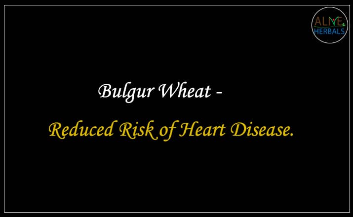 Bulgur Wheat - Buy From the Best grain online shop