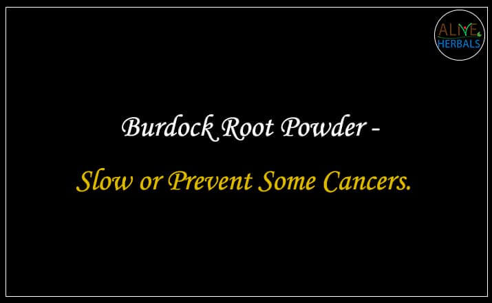 Burdock Root Powder - Buy at the Herbal Store Online at Brooklyn, NY, USA - Alive Herbals.