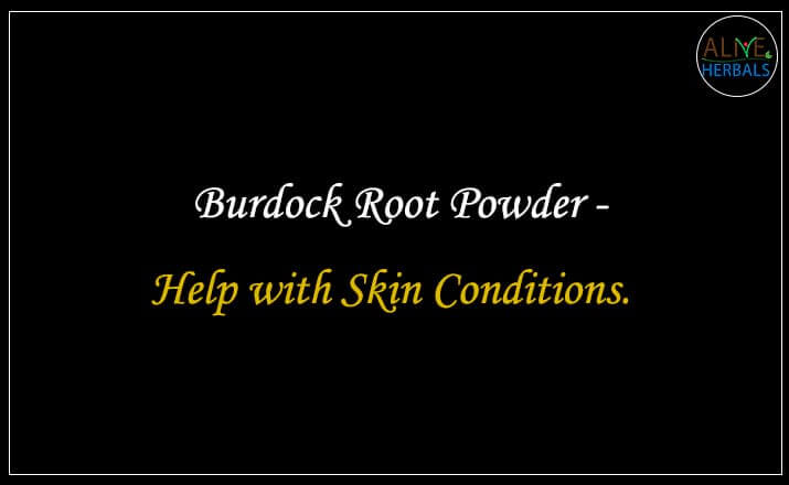 Burdock Root Powder - Buy at Herb Shop NYC at Brooklyn, NY, USA - Alive Herbals.