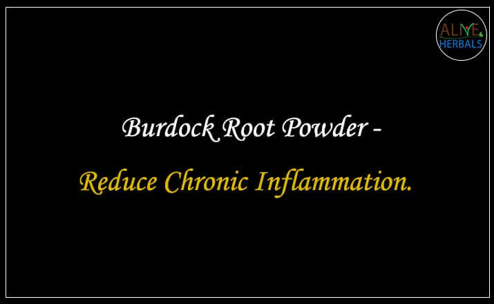 Burdock Root Powder - Buy at the Natural Herbal Store at Brooklyn, NY, USA - Alive Herbals.