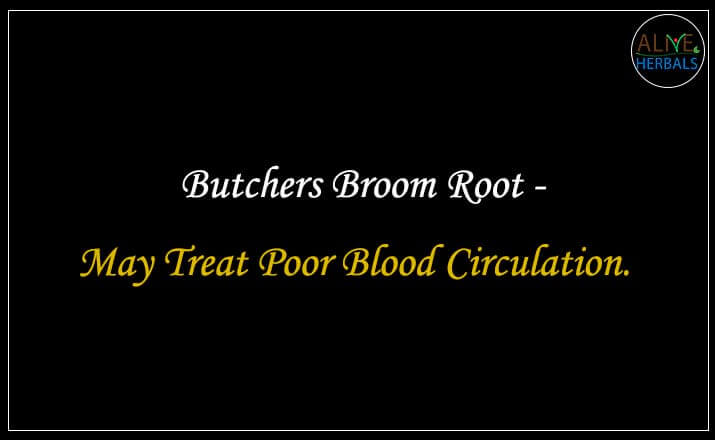 Butchers Broom Root - Buy from the online herbal store