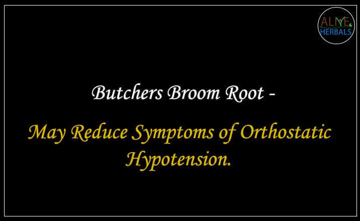 Butchers Broom Root - Buy from the natural health food store