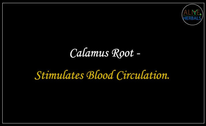 Calamus Root - Buy from the natural herb store