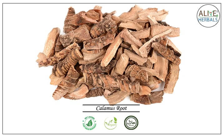 Calamus Root - Buy from the health food store