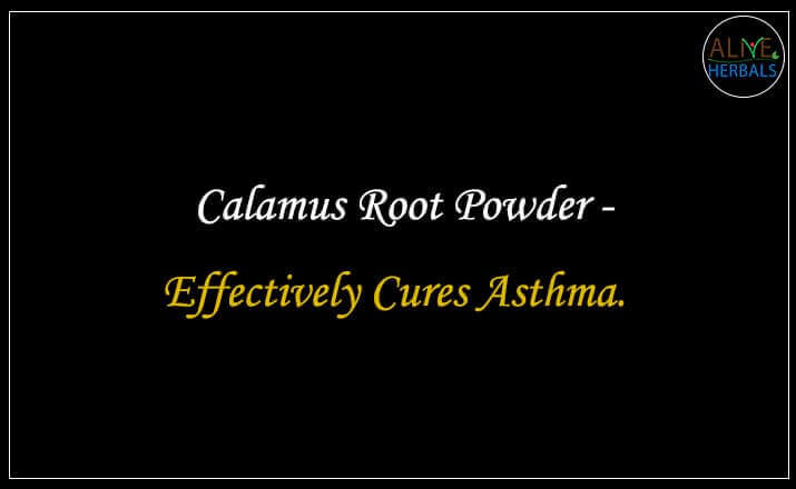 calamus root powder - Buy from the natural health food store