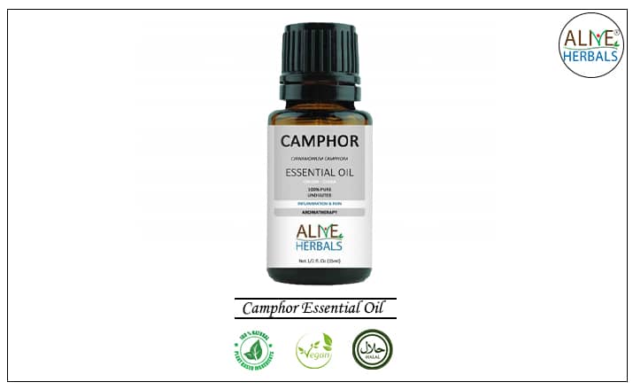 Camphor Essential Oil - Buy From the aromatherapy Shop