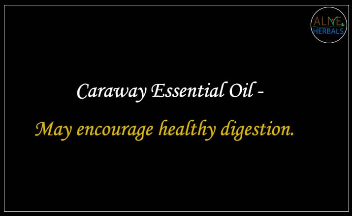 Caraway Essential Oil - Buy From the aromatherapy supplier