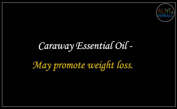 Caraway Essential Oil - Buy From the Best aromatherapy store