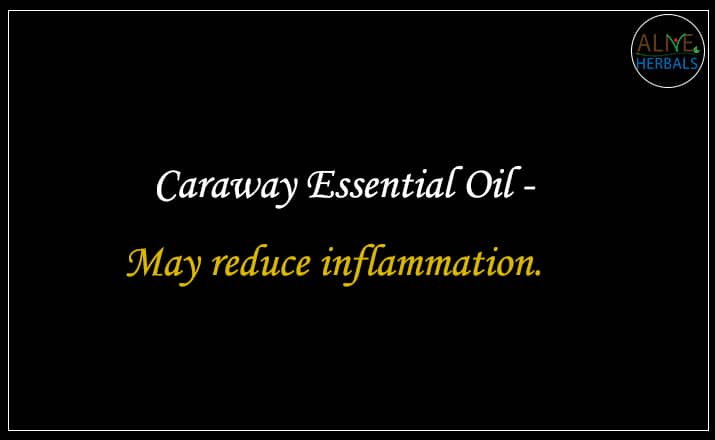 Caraway Essential Oil - Buy From the aromatherapy company