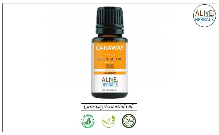 Pure Caraway Essential Oil – Digestive Support, Aromatherapy, and Natural Wellness – 100% Therapeutic Grade