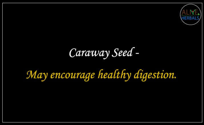 Caraway Powder - Buy at the Spice Store Brooklyn - Alive Herbals.