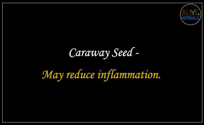 Caraway Powder - Buy at the Best Spice Store NYC - Alive Herbals.