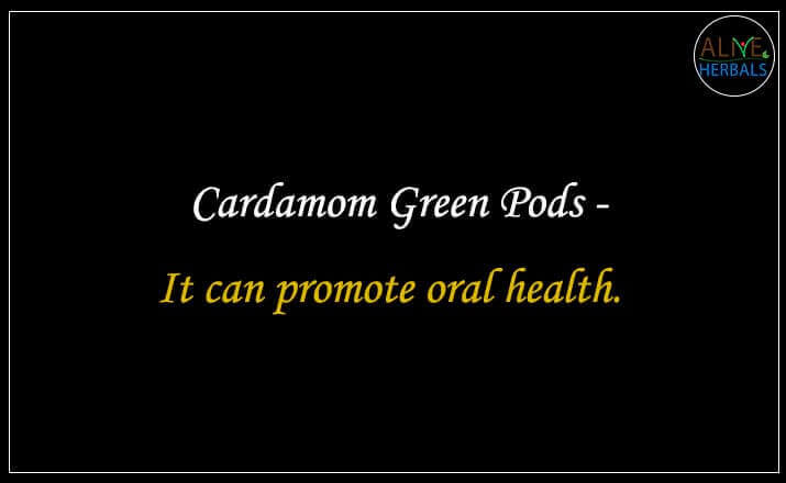 Cardamom Green Pods - Buy at Spice Store Near Me - Alive Herbals.