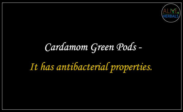 Cardamom Green Pods - Buy at the Best Spice Store NYC - Alive Herbals.