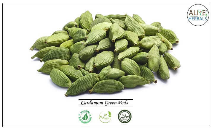 Cardamom Green Pods - Buy at the Online Spice Store - Alive Herbals.