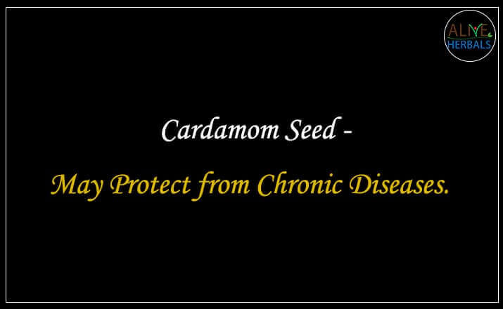 Cardamom Seed - Buy at Spice Store Near Me - Alive Herbals.