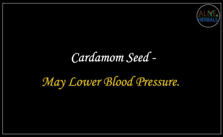 Cardamom Seed - Buy at the Best Spice Store NYC - Alive Herbals.