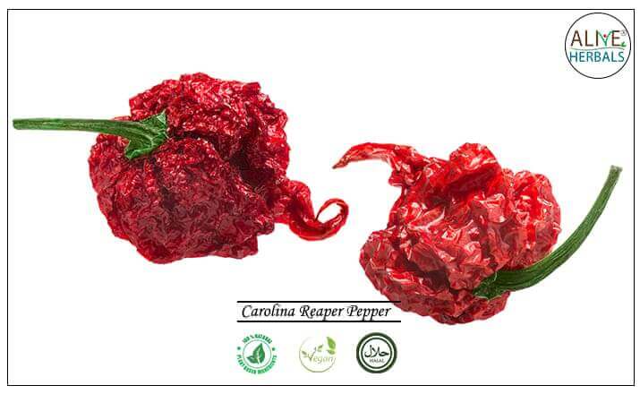 Carolina Reaper Pepper - Buy at the Online Spice Store - Alive Herbals.