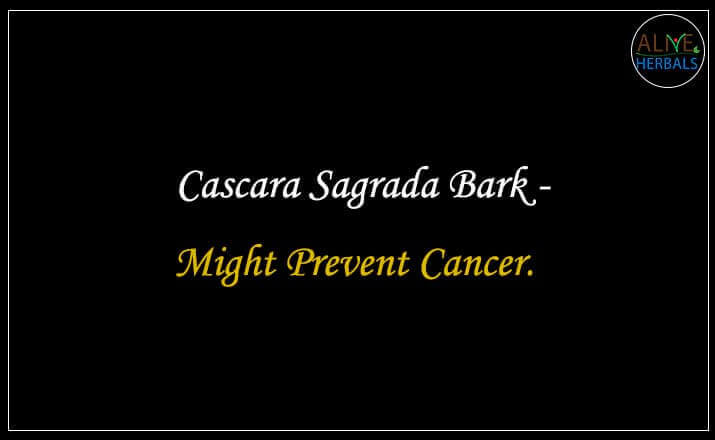 Cascara Sagrada Bark - Buy from the natural health food store