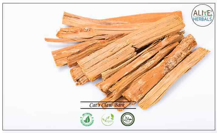 Cat's Claw Bark - Buy from the health food store