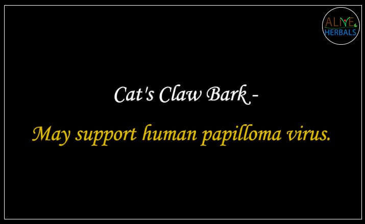 Cat's Claw Bark - Buy from the online herbal store