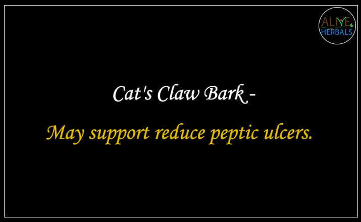Cat's Claw Bark - Buy from the natural health food store