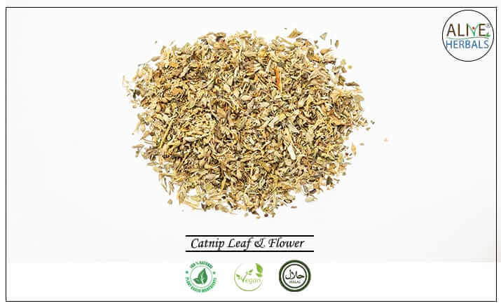 Catnip Leaf & Flower - Buy from the health food store