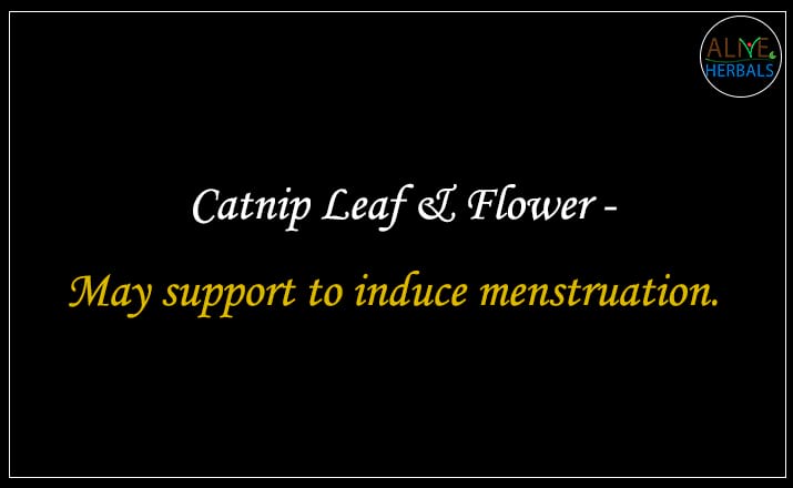 Catnip Leaf & Flower - Buy from the online herbal store