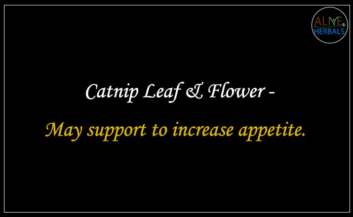 Catnip Leaf & Flower - Buy from the natural health food store