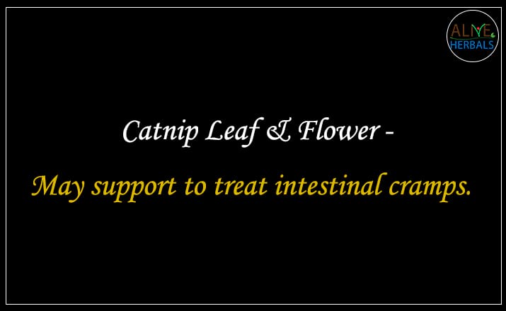Catnip Leaf & Flower - Buy from the natural herb store
