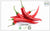 Cayenne Pepper - Buy at the Online Spice Store - Alive Herbals.