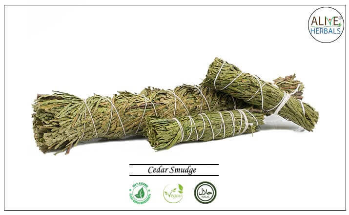 Cedar Smudge - Buy from the health food store