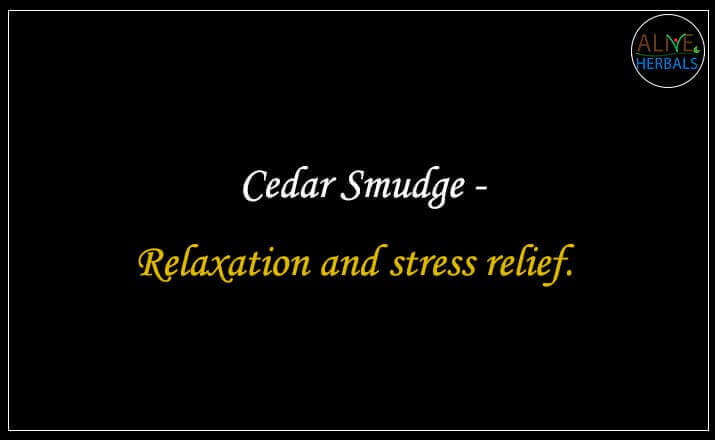 Cedar Smudge - Buy from the online herbal store