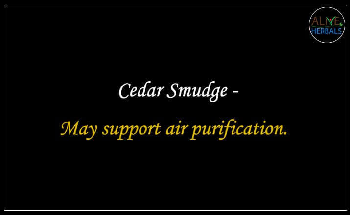 Cedar Smudge - Buy from the natural herb store