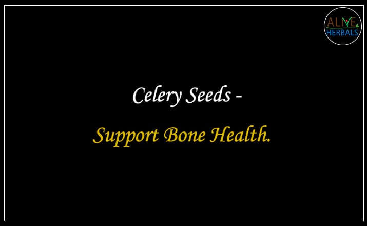 Celery Seeds - Buy at the Spice Store Brooklyn - Alive Herbals.