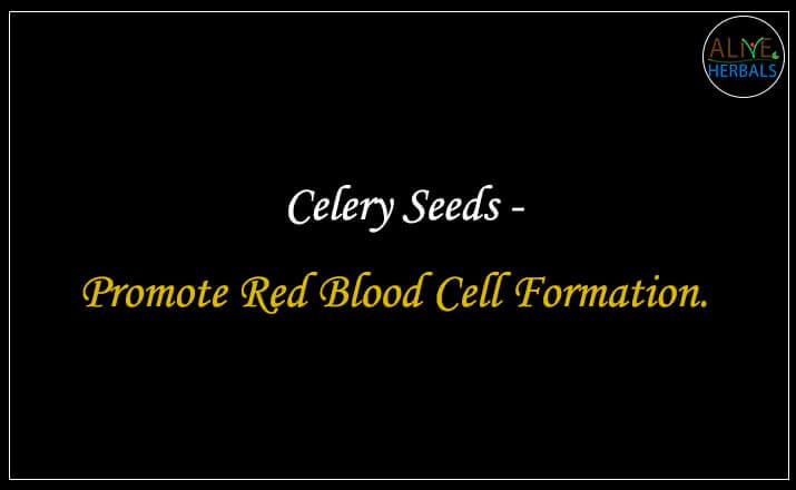 Celery Seeds - Buy at Spice Store Near Me - Alive Herbals.