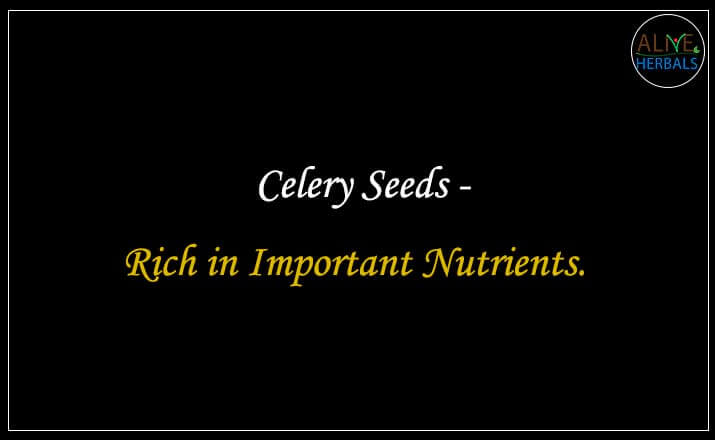 Celery Seeds - Buy at the Best Spice Store NYC - Alive Herbals.