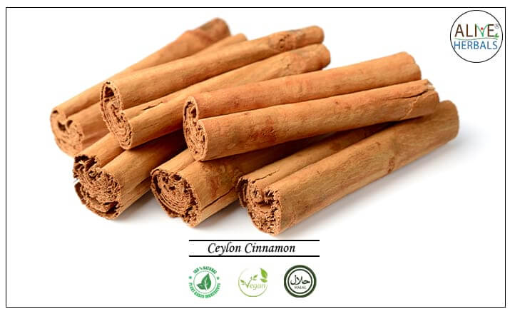 Ceylon Cinnamon - Buy at the Online Spice Store - Alive Herbals.