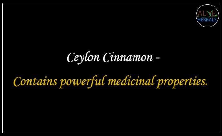 Ceylon Cinnamon  - Buy at the Spice Store Brooklyn - Alive Herbals.