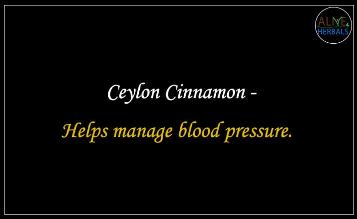 Ceylon Cinnamon - Buy at the Best Spice Store NYC - Alive Herbals.