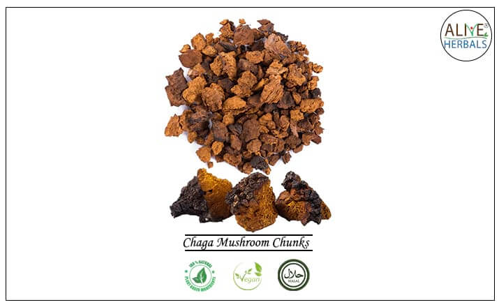 Chaga Mushroom Chunks - Buy from the health food store