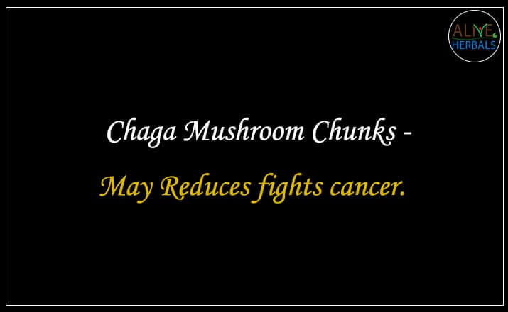 Chaga Mushroom Chunks  - Buy from the online herbal store
