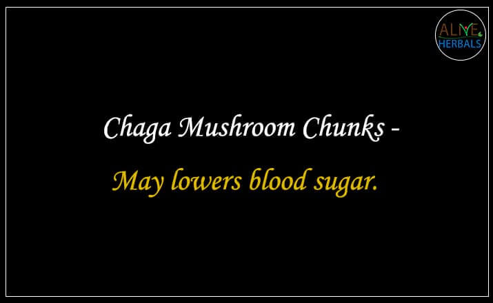 Chaga Mushroom Chunks - Buy from the natural health food store