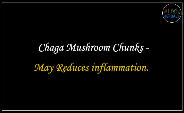 Chaga Mushroom Chunks - Buy from the natural herb store
