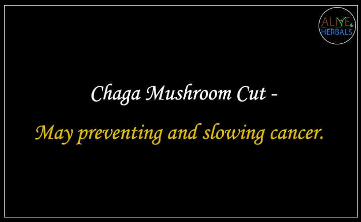 Chaga Mushroom Cut - Buy from the natural health food store